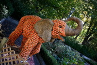 2026 Zoo October 28 Fall