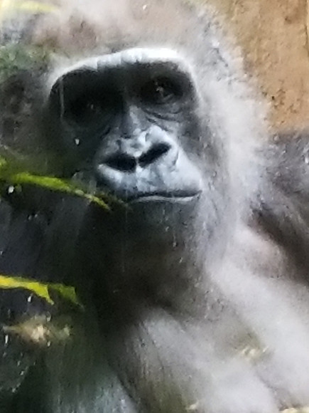 20190219_122313.jpg