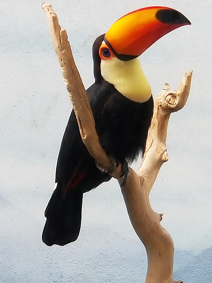 20190219_114929.jpg