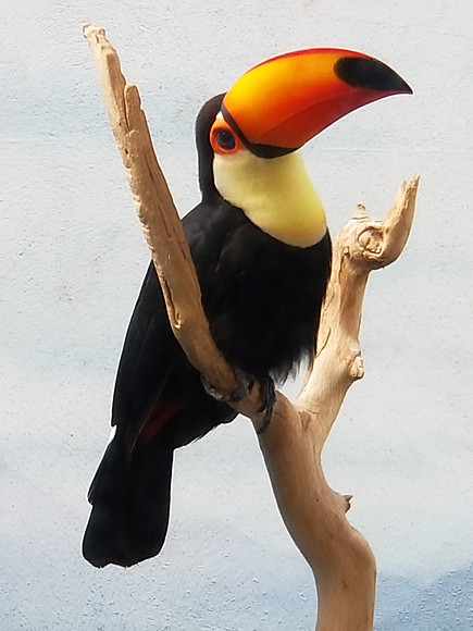 20190219_121922.jpg