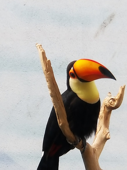 20190219_121924.jpg