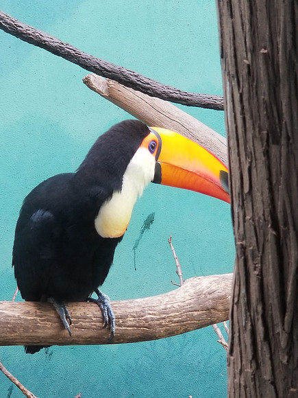 20190219_114916.jpg