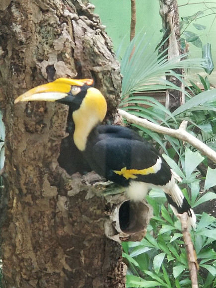 20190219_114816.jpg