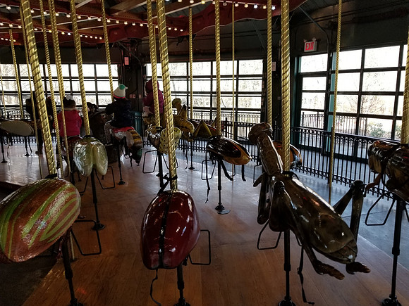 20190219_130312.jpg