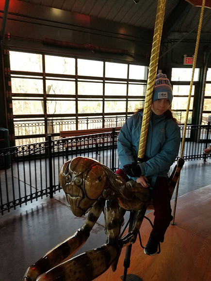 20190219_125617.jpg