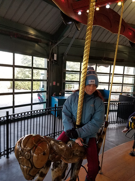 20190219_125615.jpg